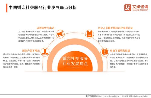 2024-2025年中國婚戀社交服務市場研究報告 趨勢、挑戰與機遇